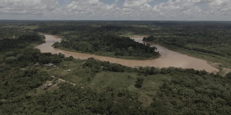 Estudo do INPA revela perda de 40% da mata ciliar do rio Acre e alerta para risco de colapso ambiental
