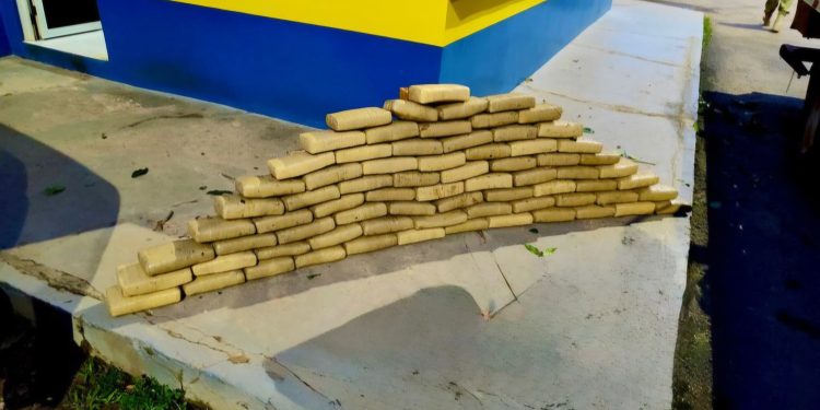 Quase 80 kg de droga é apreendido em veículo guinchado em Rio Branco