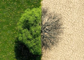 O Calor está queimando seu bolso: entenda a inflação climática