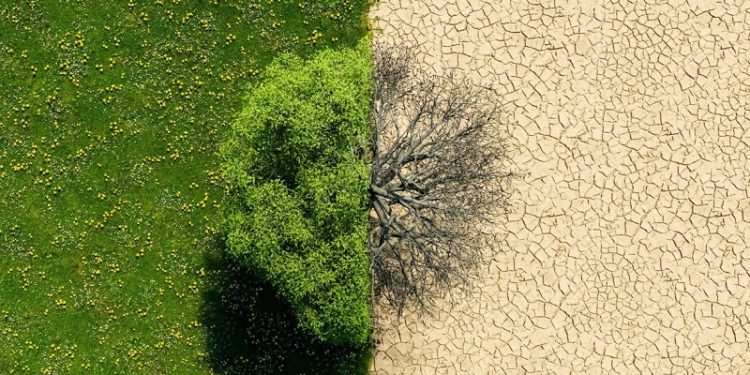 O Calor está queimando seu bolso: entenda a inflação climática