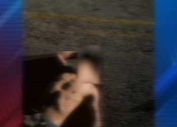 Jovem morre após ser atropelado na BR-364; motorista foge do local