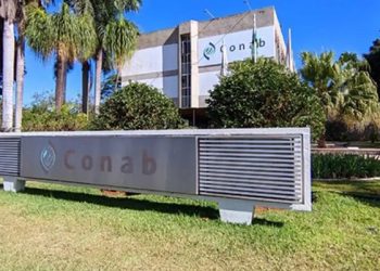 Conab publica edital de concurso público nacional com 403 vagas
