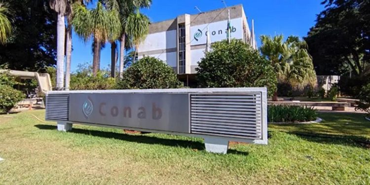 Conab publica edital de concurso público nacional com 403 vagas