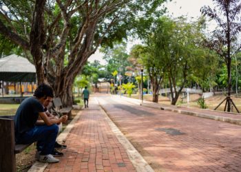 Segurança no Horto Florestal é reforçada com monitoramento e iluminação após ocorrências no local