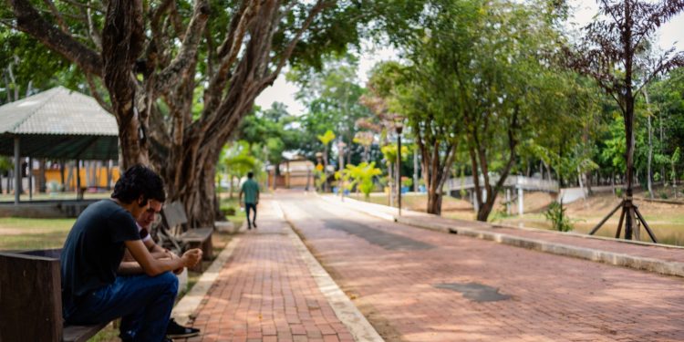 Segurança no Horto Florestal é reforçada com monitoramento e iluminação após ocorrências no local