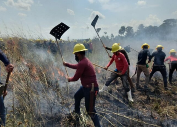 Acre abre processo seletivo para brigadistas comunitários em unidades de conservação