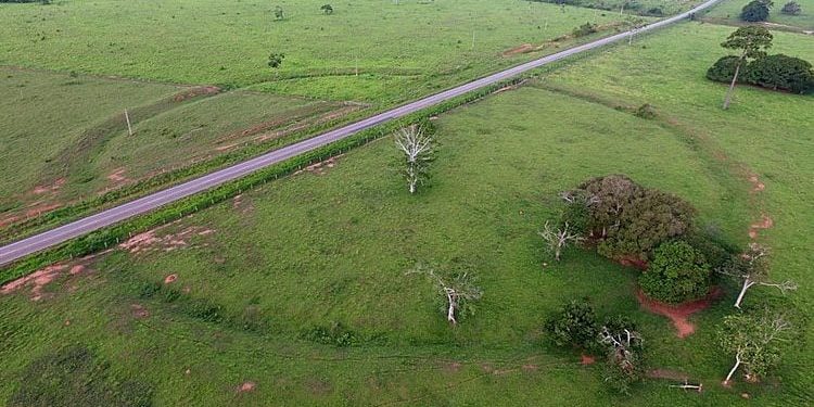 Geoglifos do Acre podem se tornar Patrimônio Mundial da Unesco; entenda