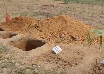 MPAC recomenda suspensão imediata de atividades de cemitério de animais até avaliação de impacto ambiental