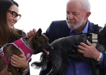 Lula lança programa de identificação e proteção de cães e gatos