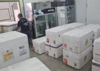 Programa Saúde na Escola: novo lote com 78 mil doses de vacinas chega ao Acre