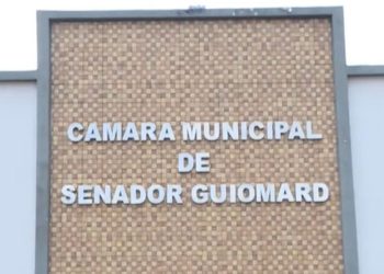 Promotora do MP de Senador Guiomard vai apurar viagem coletiva de vereadores para Brasília