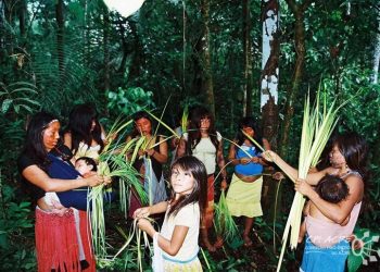 O Dia Nacional dos Povos Indígenas: Reconhecimento, Memória e Luta
