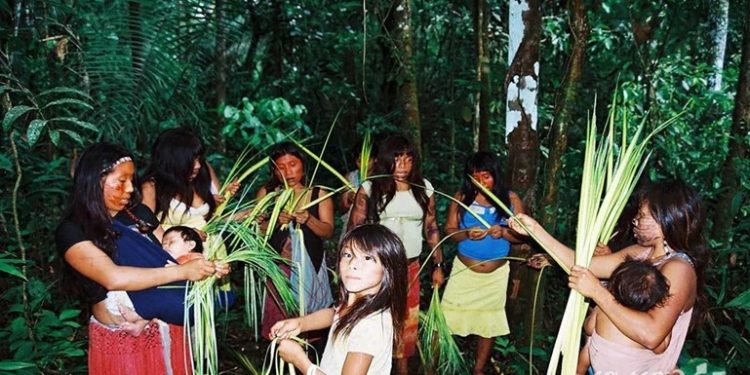 O Dia Nacional dos Povos Indígenas: Reconhecimento, Memória e Luta