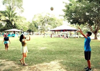 Uso gratuito dos espaços do Horto Florestal é regulamentado; inscrições para sorteio de data estão abertas