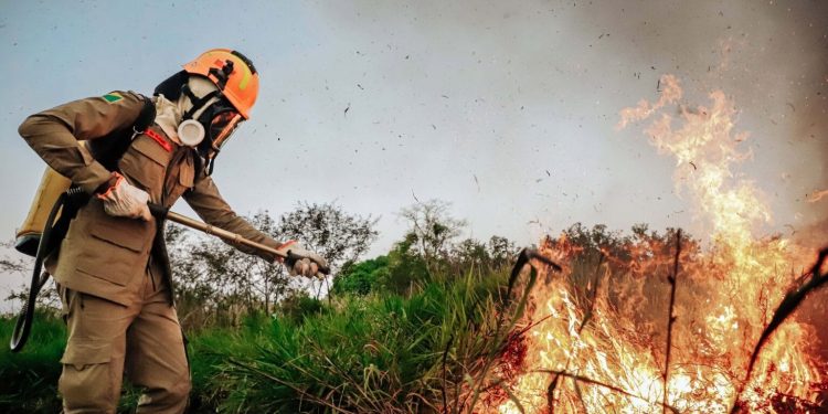 Acre divulga resultado final de seletivo para brigadistas e convoca classificados para curso de formação