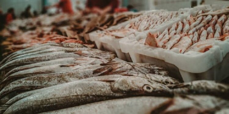 Açougueiro, padeiro e peixeiro lideram oferta de vagas no AC; Sine disponibiliza 142 oportunidades nesta quarta