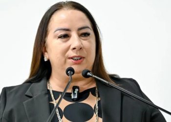 Vereadora Elzinha Mendonça propõe criação de Programa Municipal de Arborização Urbana em Rio Branco