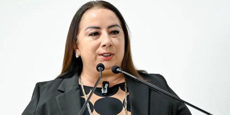 Vereadora Elzinha Mendonça propõe criação de Programa Municipal de Arborização Urbana em Rio Branco