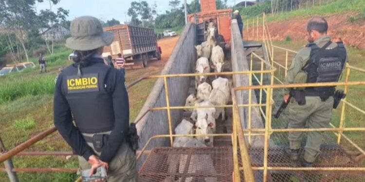 BR-317 é liberada após dois dias de bloqueio; três pessoas são presas por atos criminosos contra agentes públicos