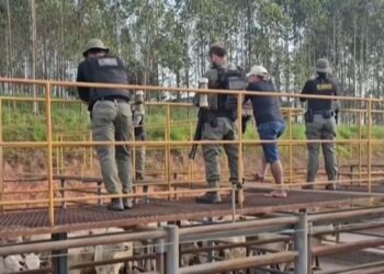 Mais de 140 gados apreendidos em operação do ICMBio é furtado de frigorífico no Acre