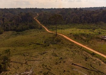 Resex Chico Mendes: moradores relatam abuso de autoridade, enquanto ICMBio afirma que está cumprindo lei