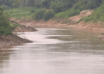 Rio Acre registra terceira menor cota desde 1972 e Defesa Civil de RB alerta para agravamento da seca