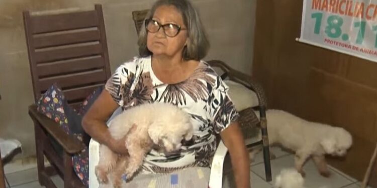 Mulher resgata e cuida de mais de 70 cães abandonados em Rio Branco