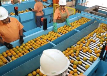 Confira a lista de quase 700 produtos que não serão taxados pelos EUA