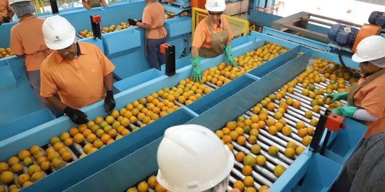 Confira a lista de quase 700 produtos que não serão taxados pelos EUA