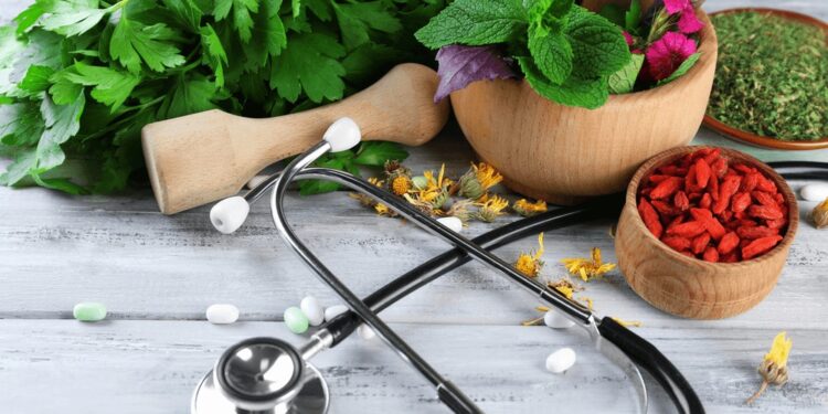 Programa de Farmácias Vivas: Acre institui uso de plantas medicinais na saúde pública