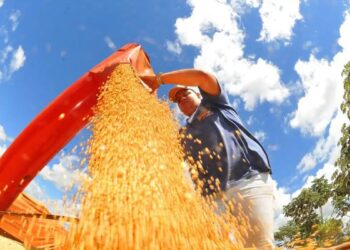 Balança comercial tem menor superávit para julho em três anos