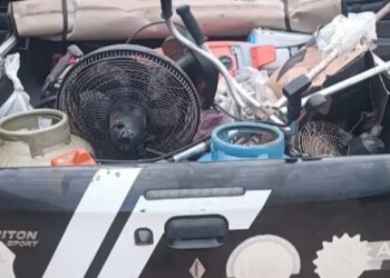 Trio suspeito de latrocínio que vitimou idosa em Senador Guiomard é preso