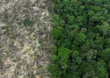 Amacro: Acre integra região da Amazônia que mais perdeu cobertura verde nos últimos 40 anos