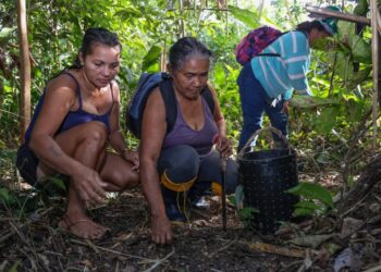 Edital destina R$ 490 mil para projetos de agricultura familiar e extrativismo em Tarauacá