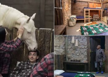 Perrengue e perigo: como funciona a Baia de A Fazenda 17?