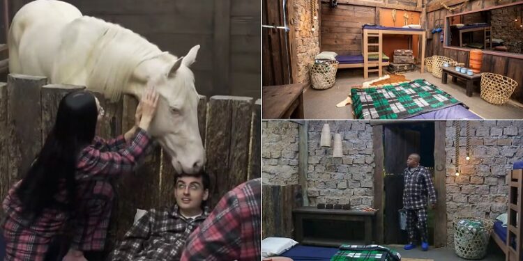 Perrengue e perigo: como funciona a Baia de A Fazenda 17?