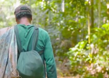 Dia da Amazônia: conheça iniciativa que alia desenvolvimento e sustentabilidade