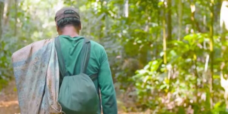 Dia da Amazônia: conheça iniciativa que alia desenvolvimento e sustentabilidade