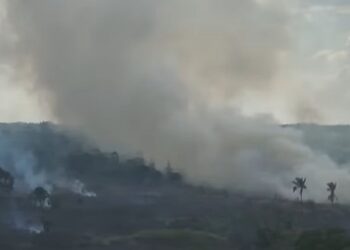 Feijó aparece entre os dez municípios que mais desmataram na Amazônia