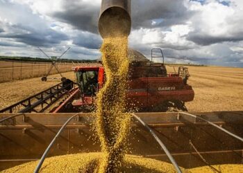 Queda no preço dos alimentos vai permanecer, diz ministro