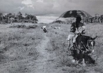 Falas sobre as experiências de vida e pesquisas na BR – 364 entre Sena Madureira à Cruzeiro do Sul em conjunto com o Prof. Dr. Carlos Alberto Alves de Souza