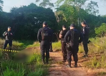 Corpo de jovem é encontrado em área de mata do bairro Cidade do Povo