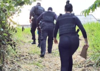 Operação Centúria contra organização criminosa é deflagrada em três cidades do Juruá