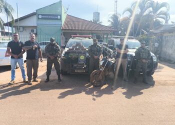 Gefron apreende 18 kg de maconha dentro da Resex Chico Mendes após perseguição em ramal