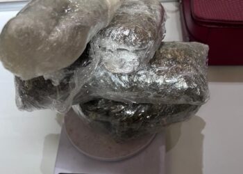 Advogada é flagrada tentando entrar com drogas no Complexo Penitenciário de Rio Branco