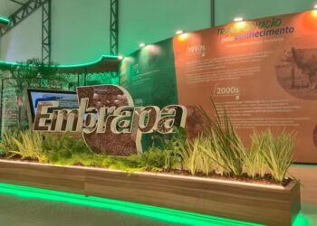 Embrapa Acre apresenta tecnologias sustentáveis da Amazônia na COP30