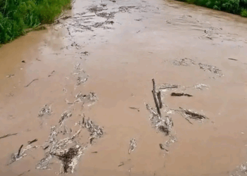 Saerb e Defesa Civil de Rio Branco monitoram situação de cheia repentina do Rio Acre, no interior