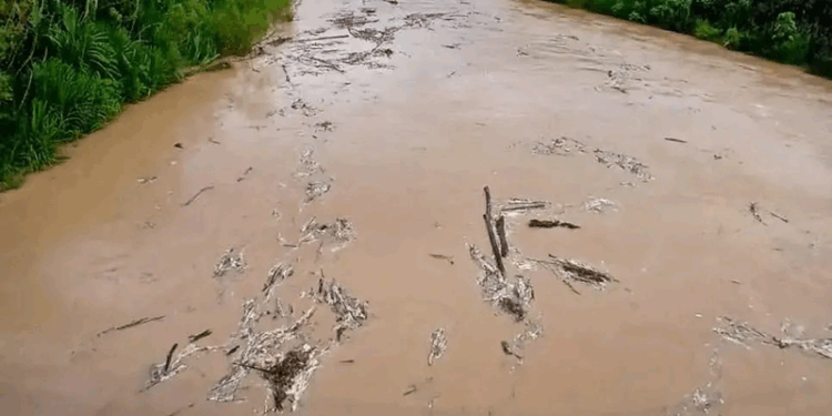 Saerb e Defesa Civil de Rio Branco monitoram situação de cheia repentina do Rio Acre, no interior