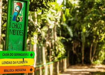 Tratado de Petrópolis: Parque Ambiental Chico Mendes vai funcionar normalmente no feriado estadual