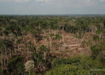 Levantamento do Imazon coloca a Resex Chico Mendes entre as mais desmatadas do Brasil